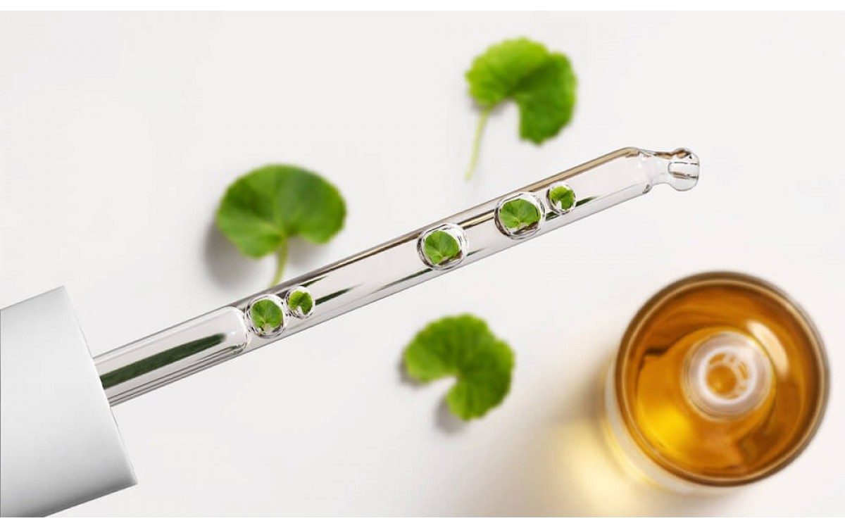 What are the active ingredients in Centella asiatica?